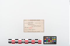 Etiketten zu Bronzebrillenfibel (NHMW-PRAE-024167)